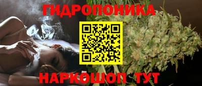 спиды Вязники