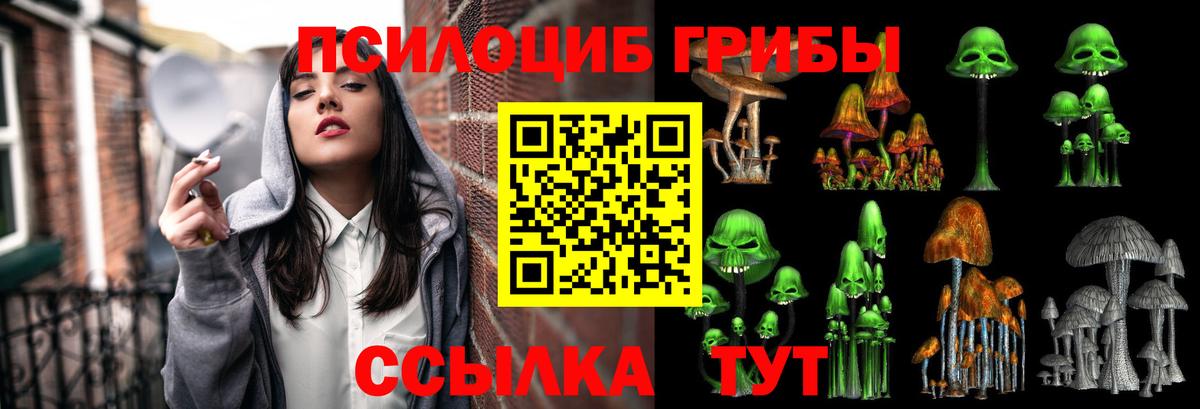 Углич  Псилоцибиновые грибы Cubensis  Псилоцибиновые грибы Cubensis  Вход с VPN 